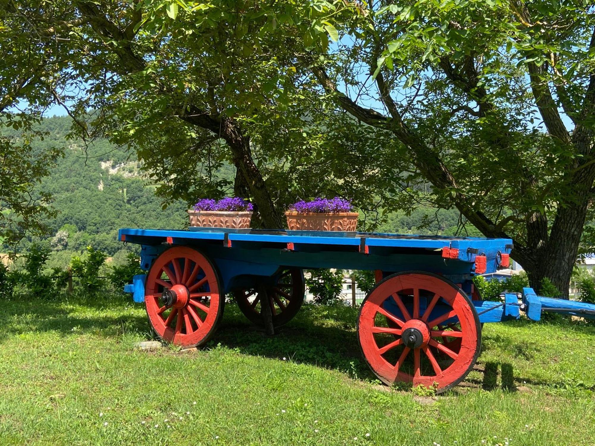 Agriturismo Popolano Di Sotto Marradi Exterior foto